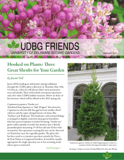 UDBG Friends newsletter - College of Agriculture and Natural