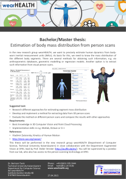 Estimation of body mass distribution from person