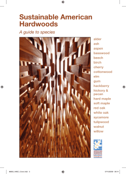 Sustainable American Hardwoods