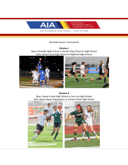 AIA State Soccer Tournament Division I Boys: Chandler High School