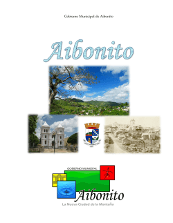Gobierno Municipal de Aibonito