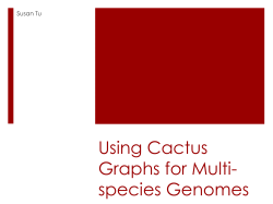 Using Cactus Graphs to Build a Pangenome