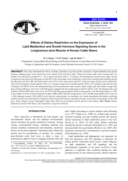 Effects of the Pattern of Energy Supply on the Efficiency of Nitrogen