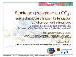 AJEC21_Stockage CO2_BRGM