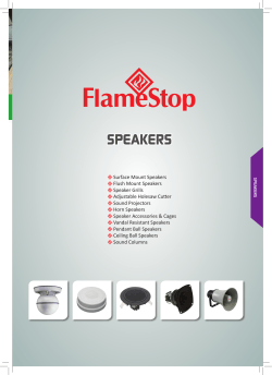 flush mount speakers - FlameStop Australia Home Page