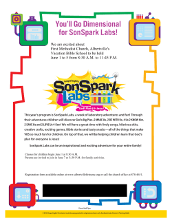 You`ll Go Dimensional for SonSpark Labs!