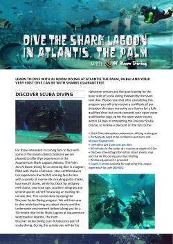 Dive The Shark Lagoon in Atlantis, The Palm