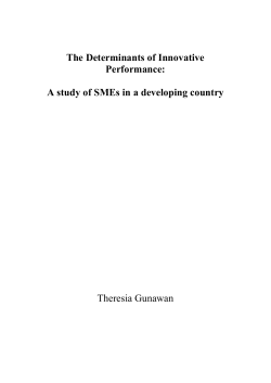 The Determinants of Innovative Performance