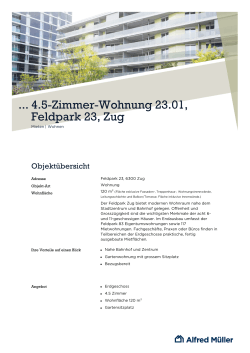 4.5-Zimmer-Wohnung 23.01, Feldpark 23, Zug
