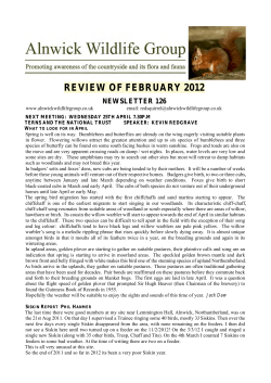 Newsletter 126 FEBRUARY 2012