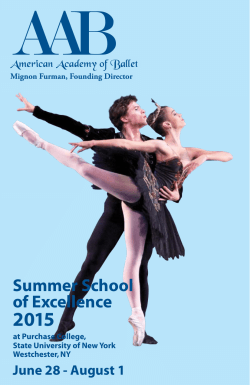 Summer School of Excellence 2015