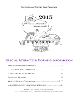 Special Attraction Forms & Information