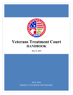 Veterans Treatment Court - America`s Warrior Partnership