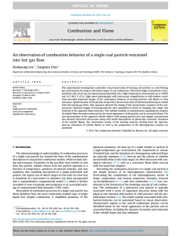 An observation of combustion behavior of a single coal