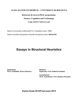 Essays in Structural Heuristics - AMS Tesi di Dottorato