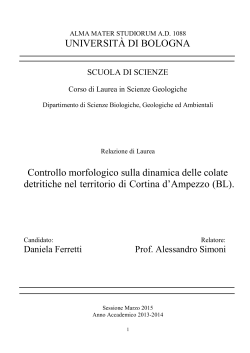 Documento PDF - AMS Tesi di Laurea