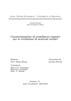 Documento PDF - AMS Tesi di Laurea