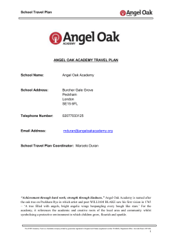 Travel Plan 2015 - Angel Oak Academy