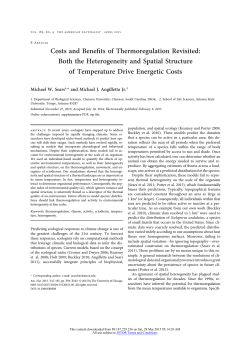 Costs and Benefits of Thermoregulation Revisited: Both the