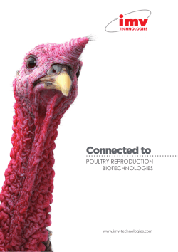 Poultry Catalogue 2015
