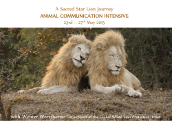 Star lion itinerary May discount 2015