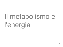 intro metabolismo