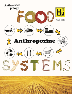 Anthropozine - Anthropology Now