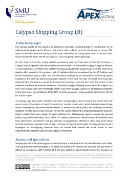 Calypso Shipping Group (B) - APEX Business IT Case Challenge