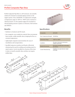 ProTek Composite Pipe Shoe Information Sheet