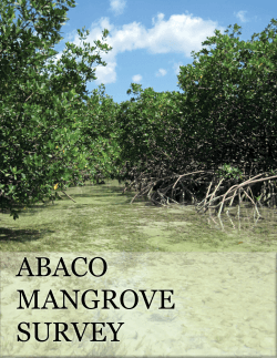 Mangrove Survey Guidelines - Department of Applied Ecology