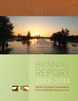 the Report PDF - Department of Applied Ecology