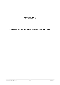 BP3 Appendix D Capital Works New Initiatives By Type