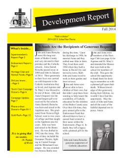 2014-- Development Report