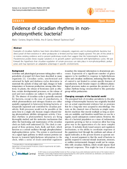 Evidence of circadian rhythms in non