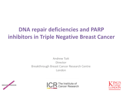 BRCA1 - Innovation in Breast Cancer