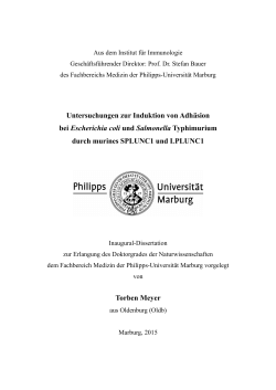 Dokument - Publikationsserver UB Marburg - Uni