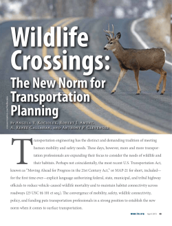 The New Norm for Transportation Planning April 15