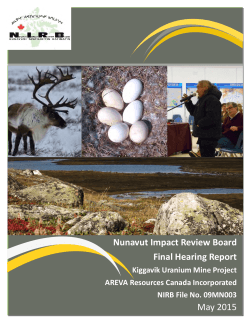 Final Hearing Decision Report