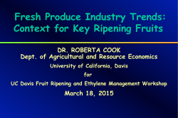 Fresh produce Industry Trends: Context for Key Ripening Fruits