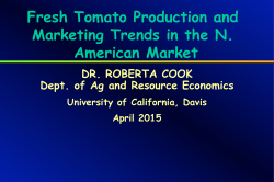Fresh Tomato Production and Marketing Trends in the N. American
