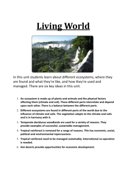 Living World - ARK Elvin Academy