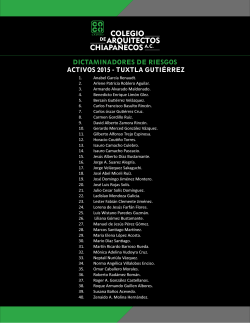 dictaminadores de riesgos activos 2015