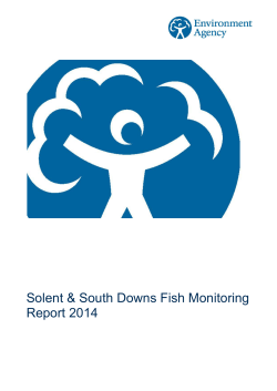 22/04/2015 SSD Fish Monitoring Report