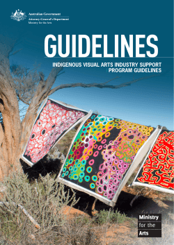 Indigenous Visual Arts Industry Support program guidelines