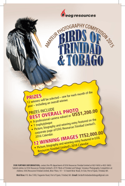 Competition Flyer - Art Society Of Trinidad & Tobago