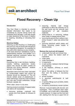 Flood Recovery â Clean Up