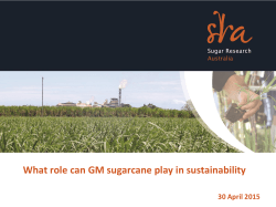 What role can GM sugarcane play in