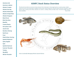 ASMFC Status of the Stocks - Atlantic States Marine Fisheries