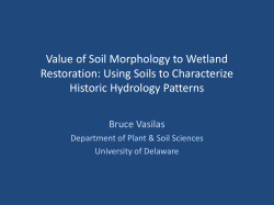 Value of Soil Morphology to Wetland Restoration: Using Soils to