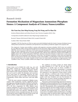A Component Analysis of Urinary Nanocrystallites